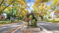 University Avenue Campus Beautification on University Avenue