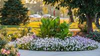 Campus Quad Campus Beautification