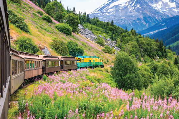 train on alaskan mountain side