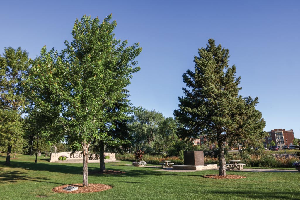 Memorial trees