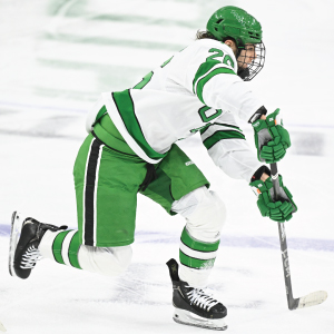 hockey player skating