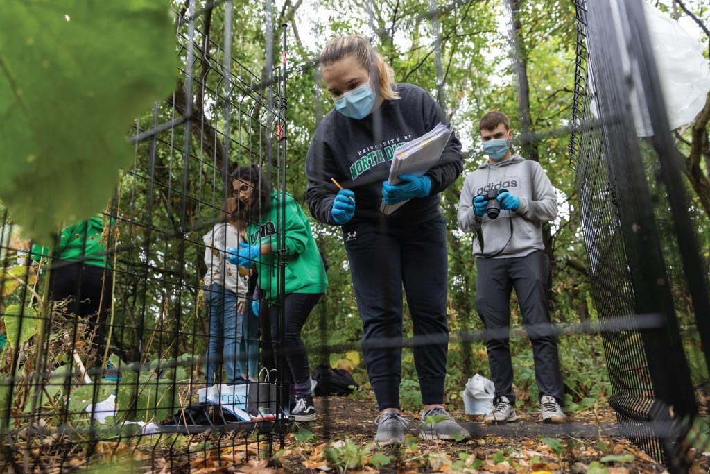 examining evidence in the field