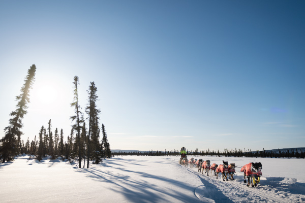 Iditarod