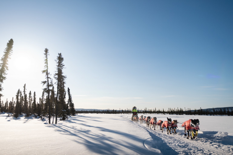 iditarod