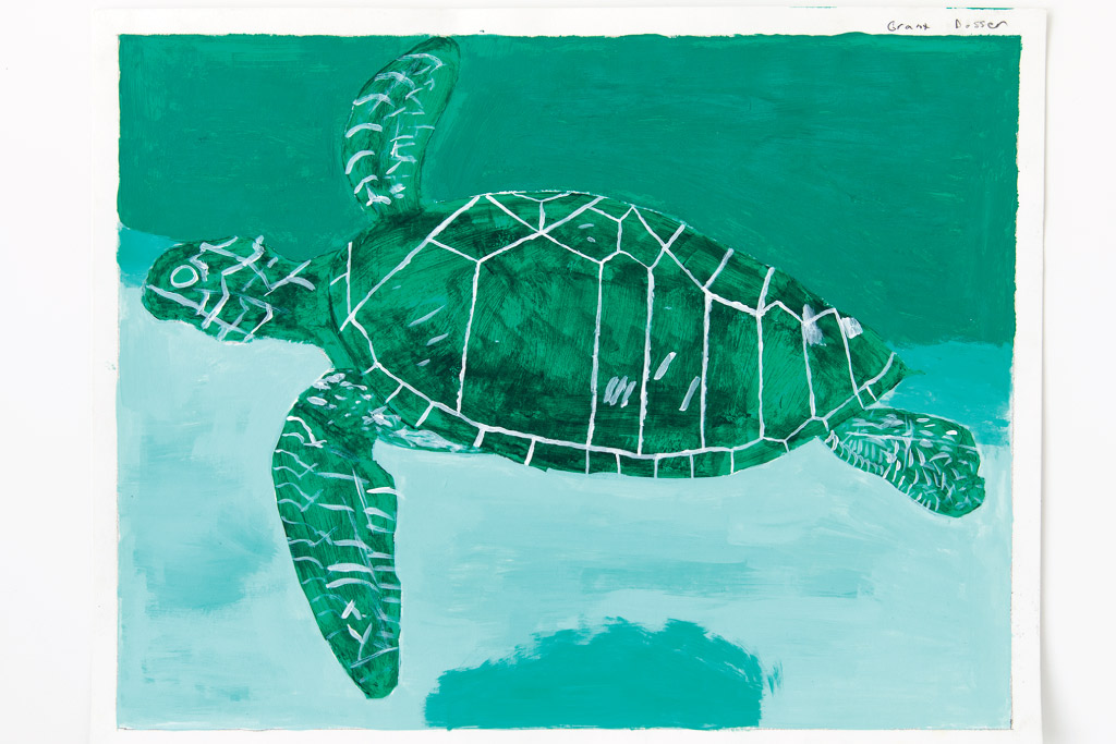 Grant Dosser's turtle art